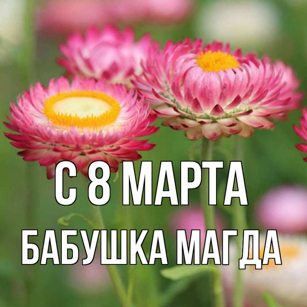 Открытка на каждый день с именем, Бабушка-Магда С 8 марта подарок на международный женский день Прикольная открытка с пожеланием онлайн скачать бесплатно 