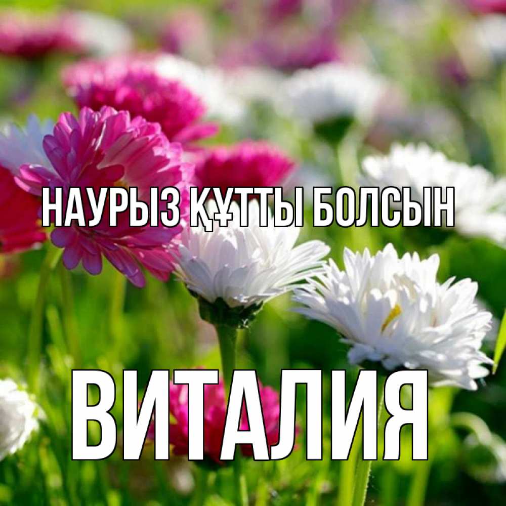 Открытка на каждый день с именем, Виталия Наурыз құтты болсын наурыз Прикольная открытка с пожеланием онлайн скачать бесплатно 