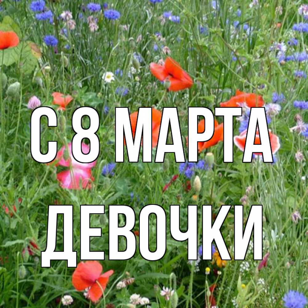 Картинка С 8 МАРТА, ДЕВОЧКИ