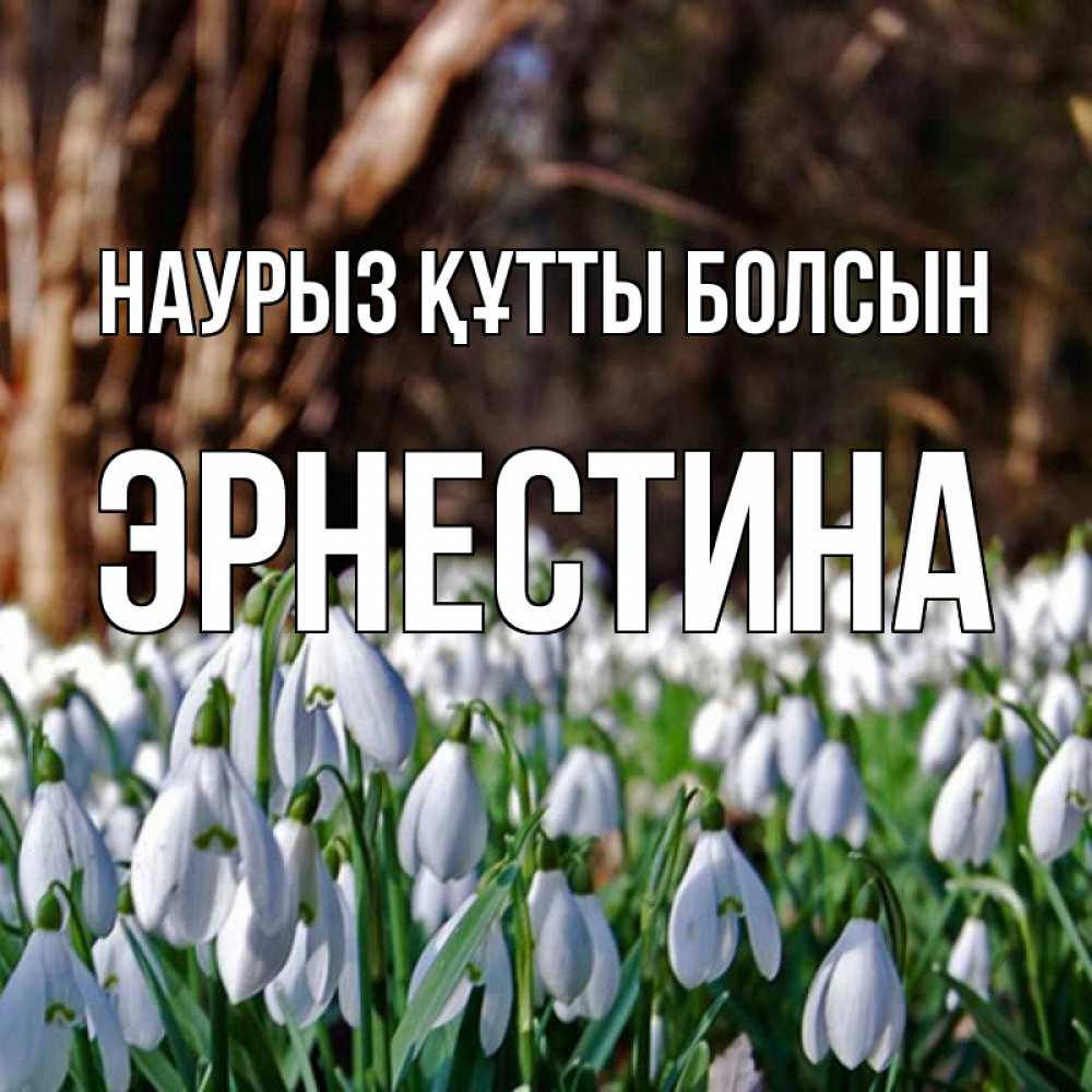 Открытка на каждый день с именем, Эрнестина Наурыз құтты болсын с подснежниками 1 Прикольная открытка с пожеланием онлайн скачать бесплатно 