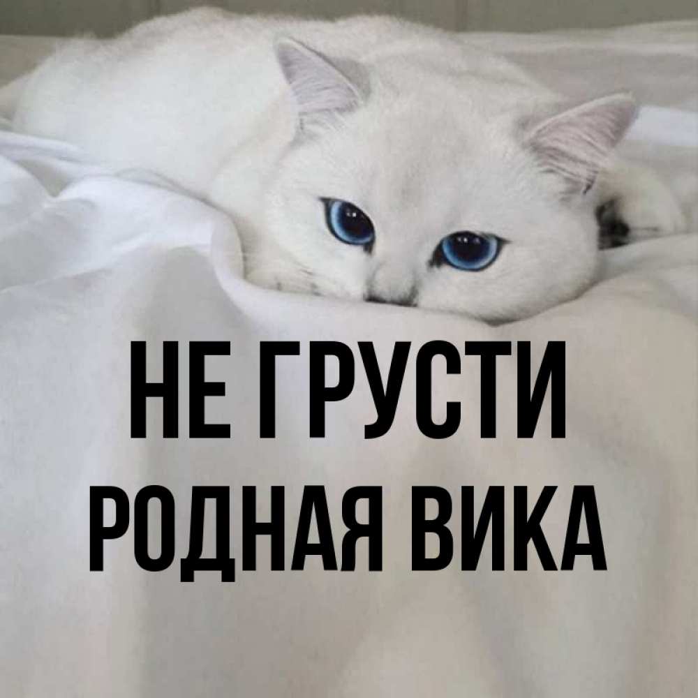 Не грусти родная расстояние