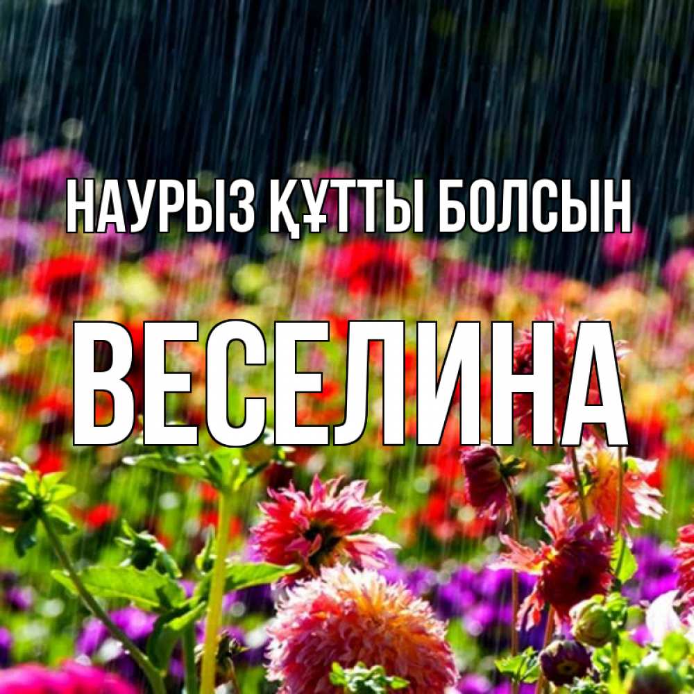 Открытка на каждый день с именем, Веселина Наурыз құтты болсын цветы под дождиком к наурызу Прикольная открытка с пожеланием онлайн скачать бесплатно 
