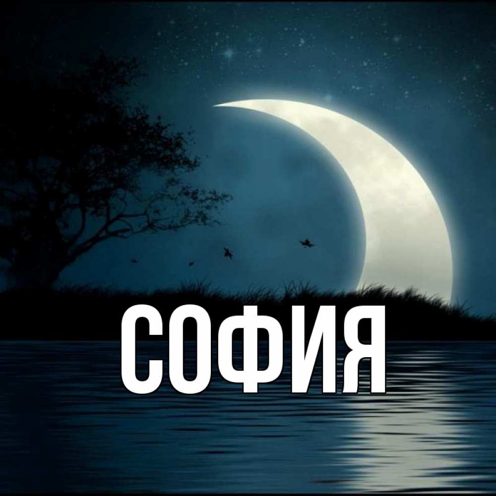 Открытка на каждый день с именем, София Главная вода Прикольная открытка с пожеланием онлайн скачать бесплатно 