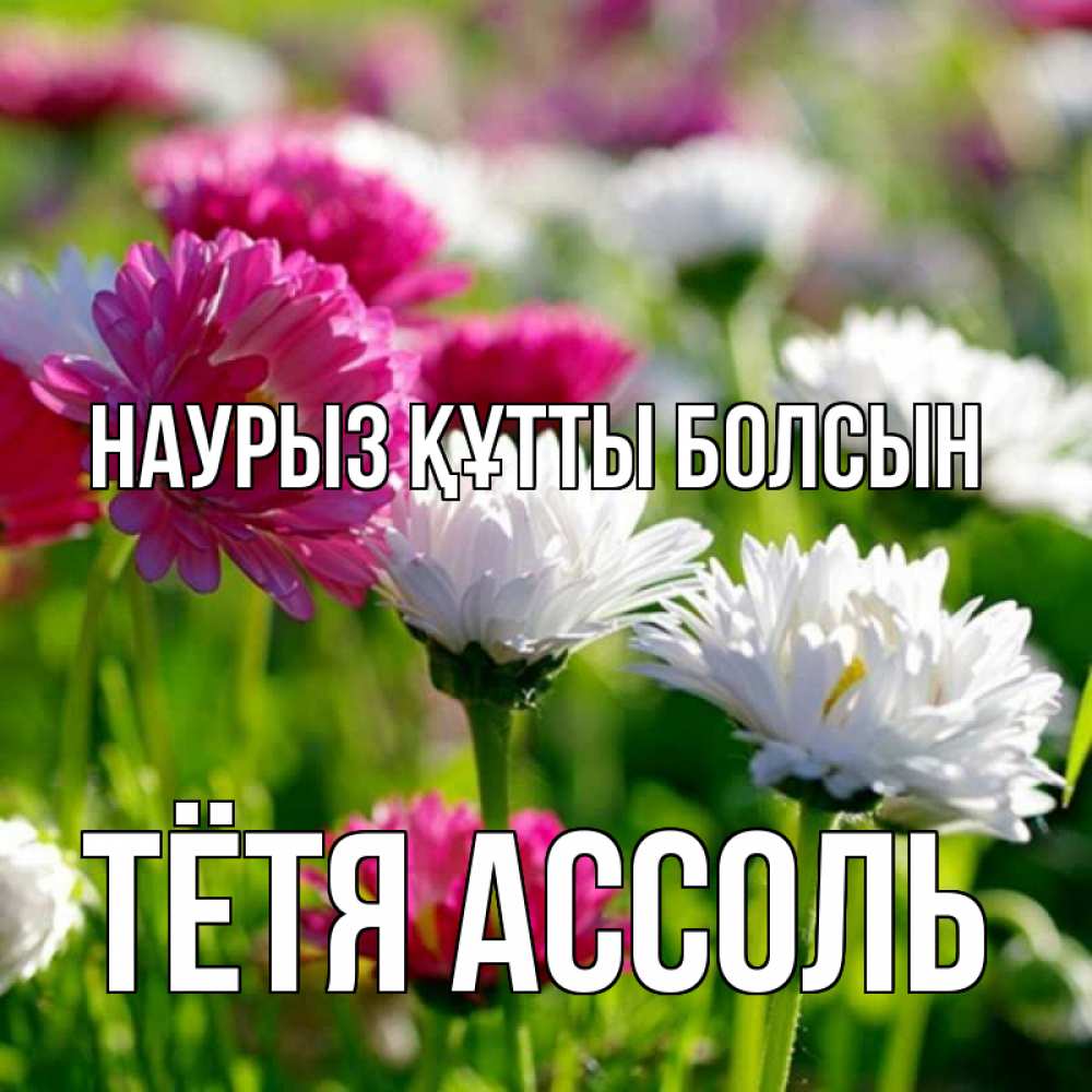 Открытка на каждый день с именем, Тётя-Ассоль Наурыз құтты болсын наурыз Прикольная открытка с пожеланием онлайн скачать бесплатно 
