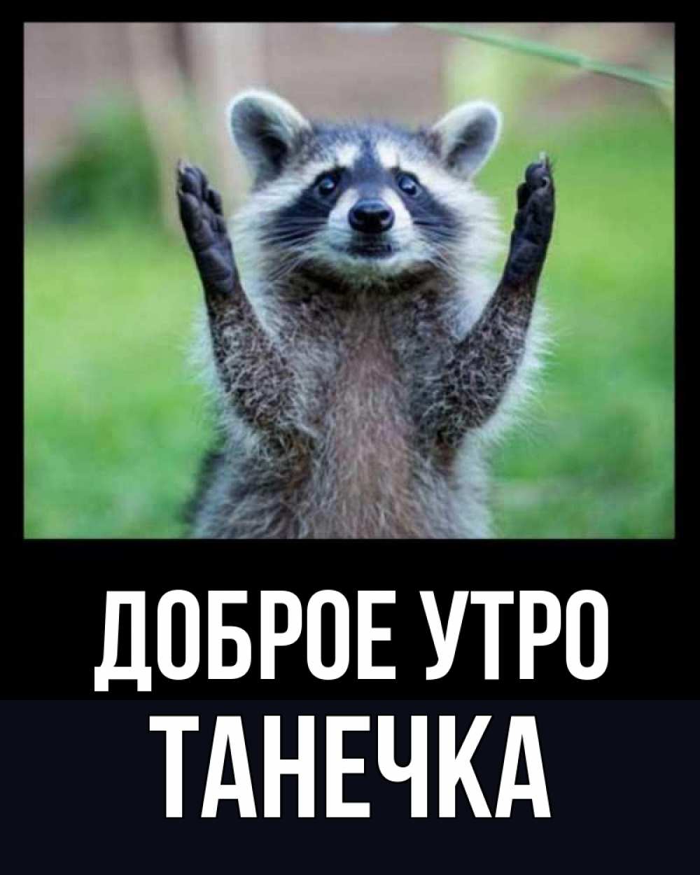 Картинка Доброе утро, Танечка
