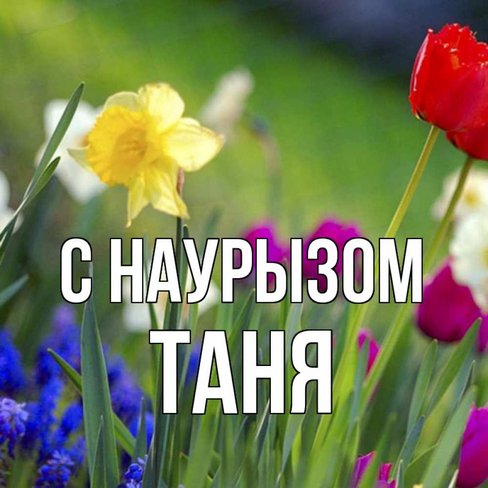 Картинка С наурызом, Таня