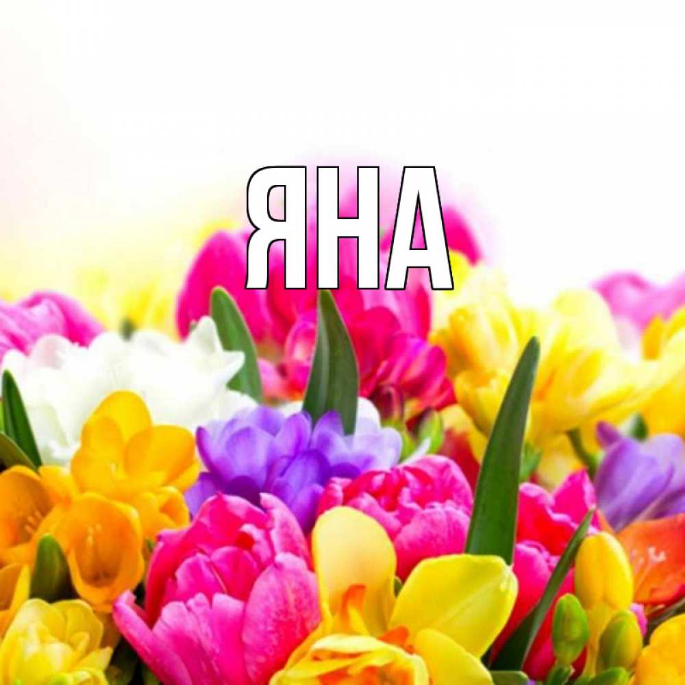 Открытка с именем яна