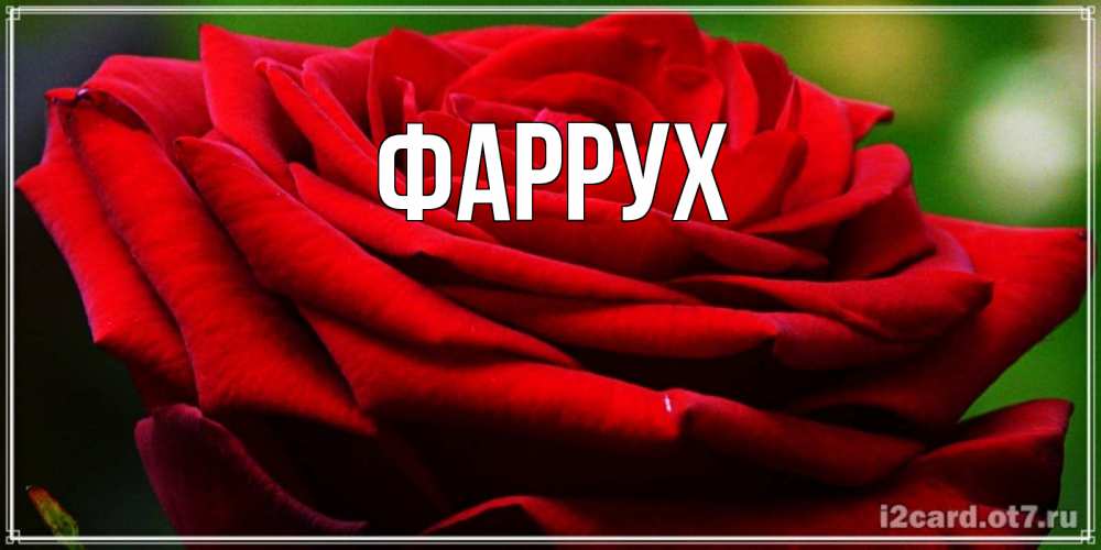 Картинка  с именем , Фаррух