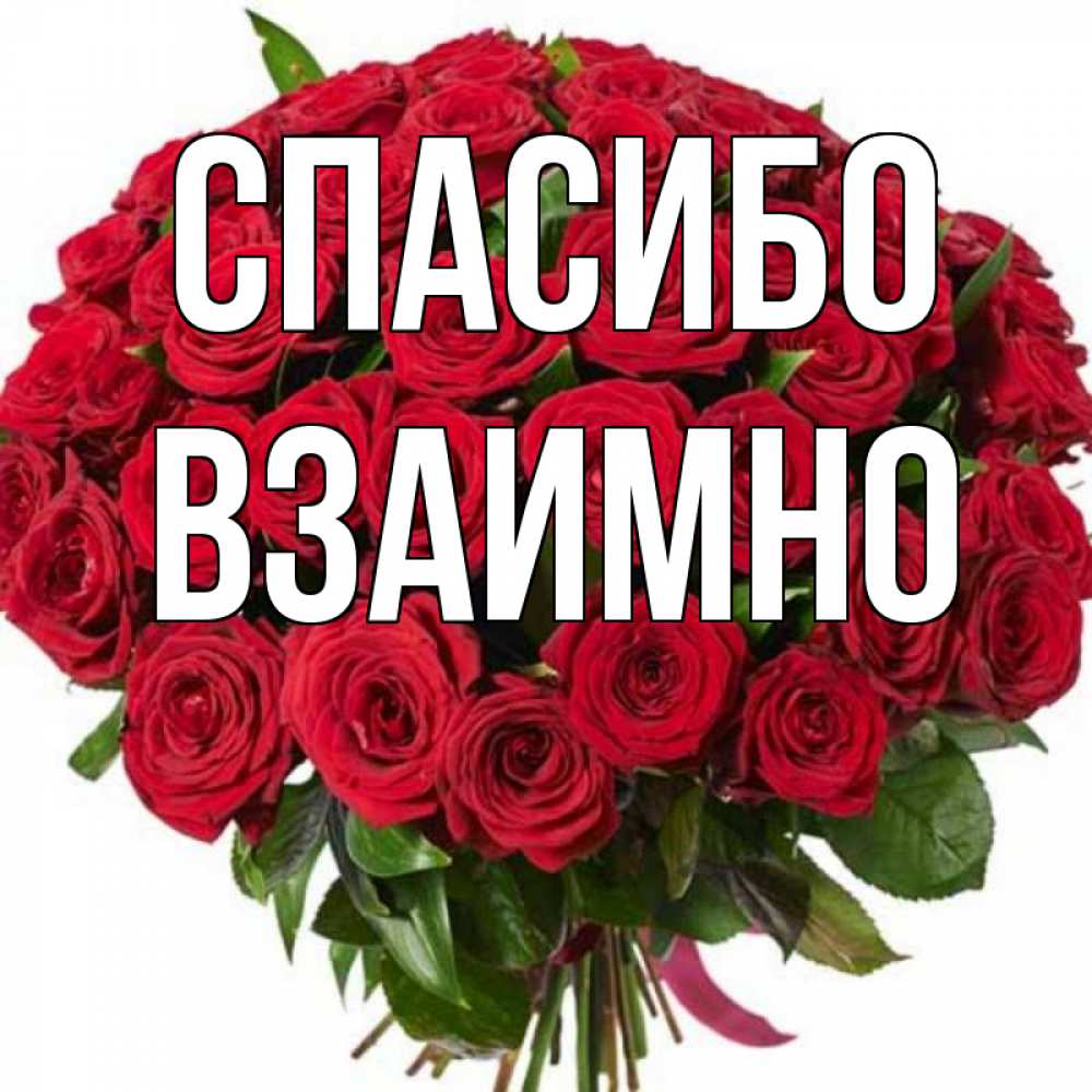 Открытка на каждый день с именем, Взаимно Спасибо букет красных роз Прикольная открытка с пожеланием онлайн скачать бесплатно 
