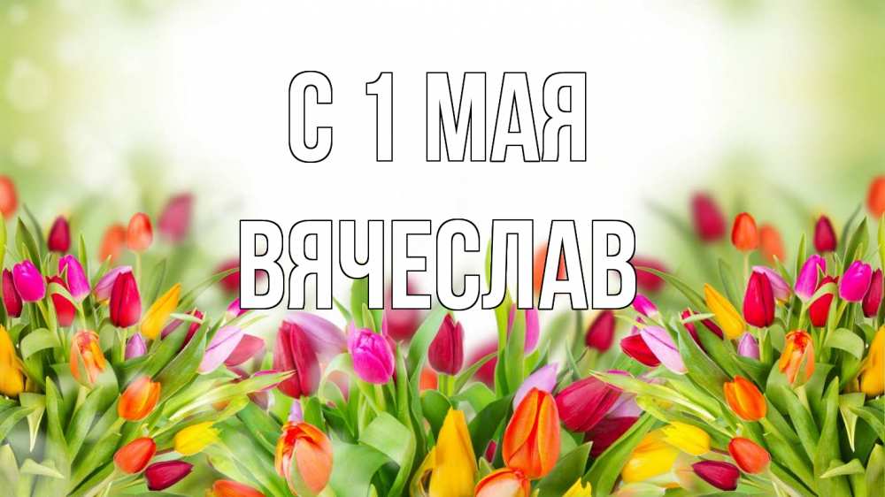 Открытка на каждый день с именем, Вячеслав С 1 мая С 1 мая Прикольная открытка с пожеланием онлайн скачать бесплатно 