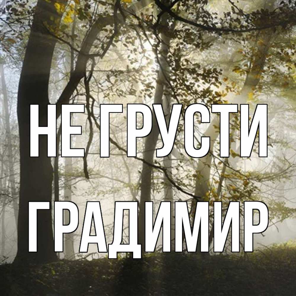 Открытка на каждый день с именем, Градимир Не грусти лес и свет Прикольная открытка с пожеланием онлайн скачать бесплатно 