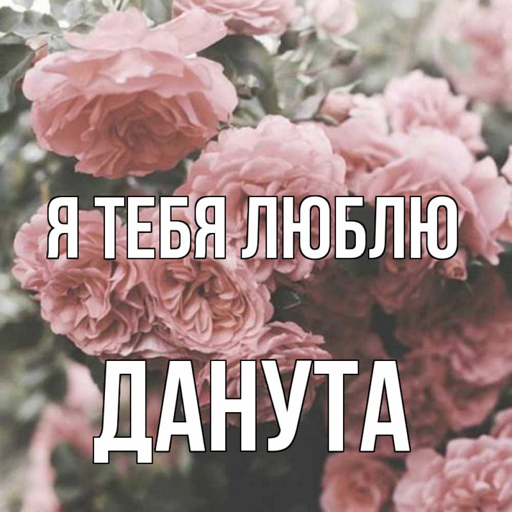 Открытка на каждый день с именем, Данута Я тебя люблю розы 3 Прикольная открытка с пожеланием онлайн скачать бесплатно 