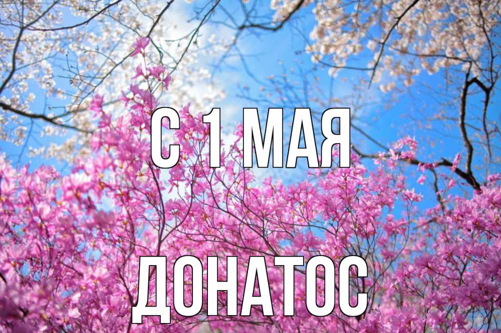 Открытка на каждый день с именем, Донатос С 1 мая С 1 мая Прикольная открытка с пожеланием онлайн скачать бесплатно 