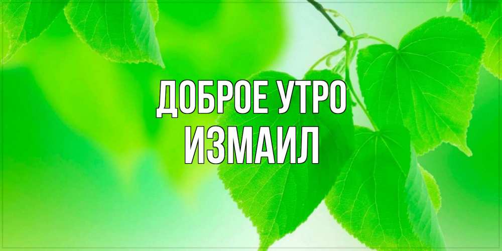 Открытка на каждый день с именем, Измаил Доброе утро доброе утро с березовыми листьями Прикольная открытка с пожеланием онлайн скачать бесплатно 