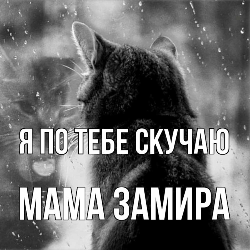 Открытка на каждый день с именем, Мама-Замира Я по тебе скучаю скорее ко мне приходи 1 Прикольная открытка с пожеланием онлайн скачать бесплатно 