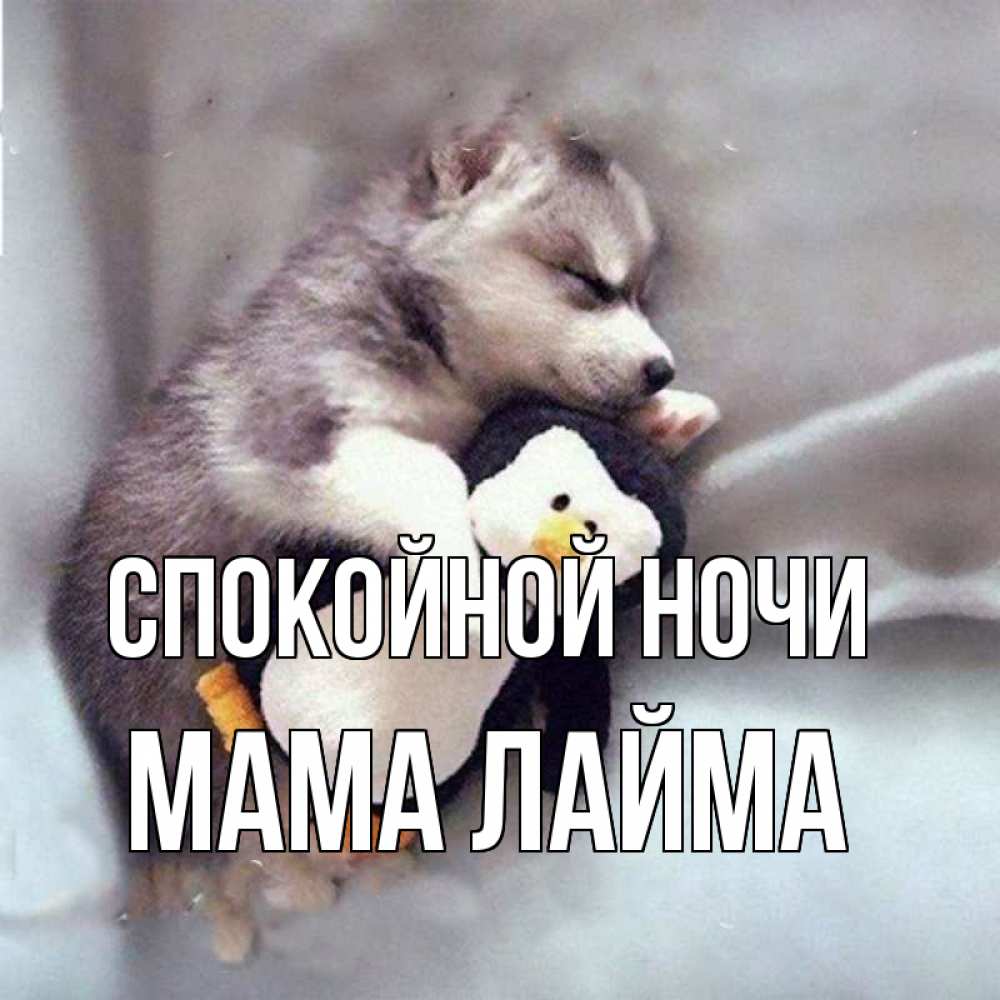 Открытка на каждый день с именем, Мама-Лайма Спокойной ночи обнимашки щенка и пингвина Прикольная открытка с пожеланием онлайн скачать бесплатно 