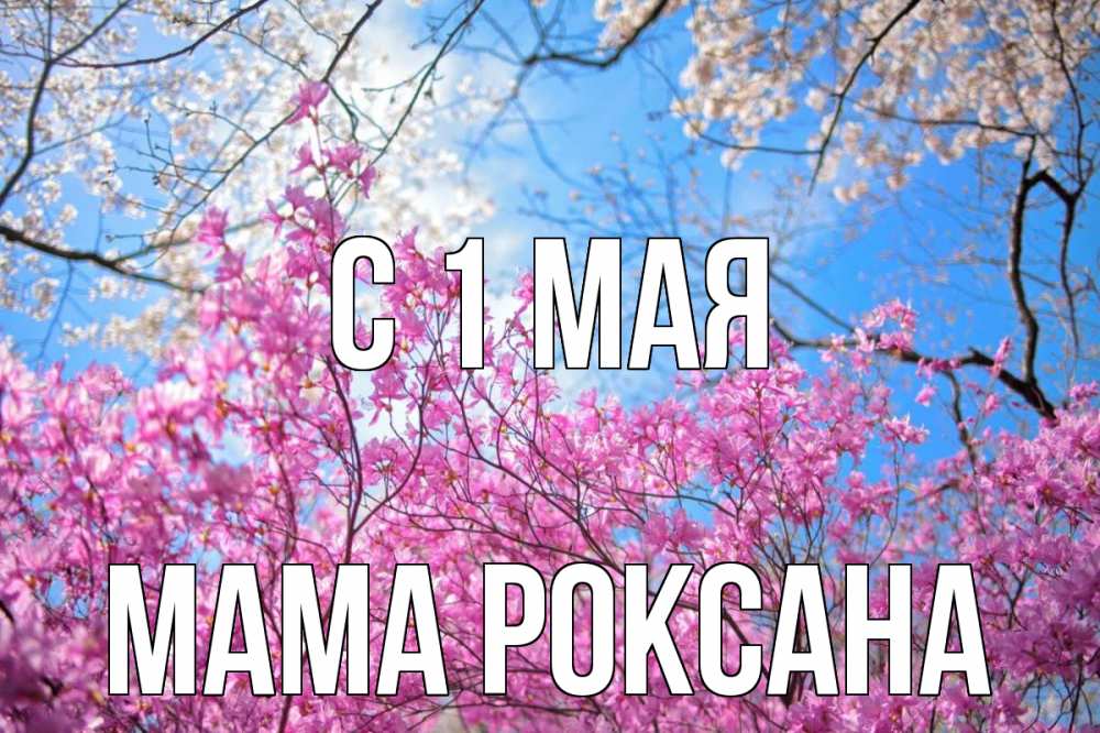 Открытка на каждый день с именем, Мама-Роксана С 1 мая С 1 мая Прикольная открытка с пожеланием онлайн скачать бесплатно 