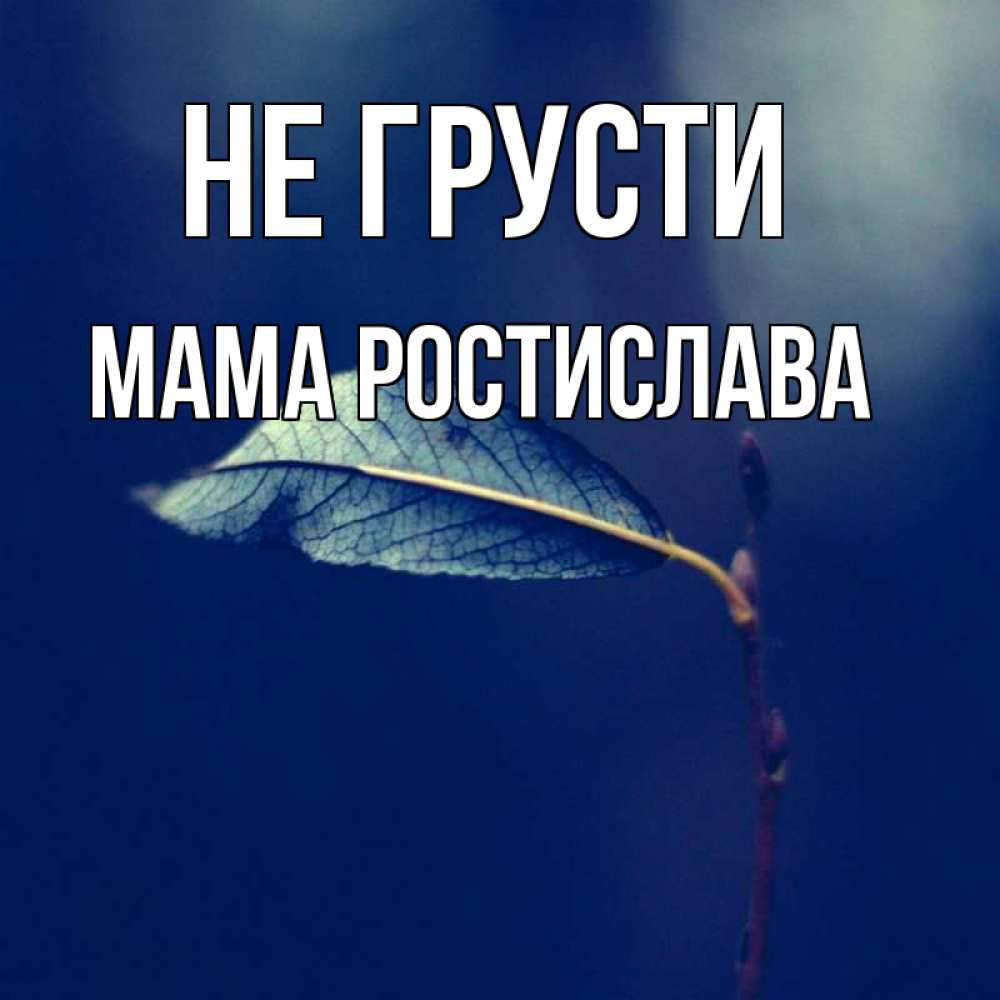 Открытка на каждый день с именем, Мама-Ростислава Не грусти растение Прикольная открытка с пожеланием онлайн скачать бесплатно 