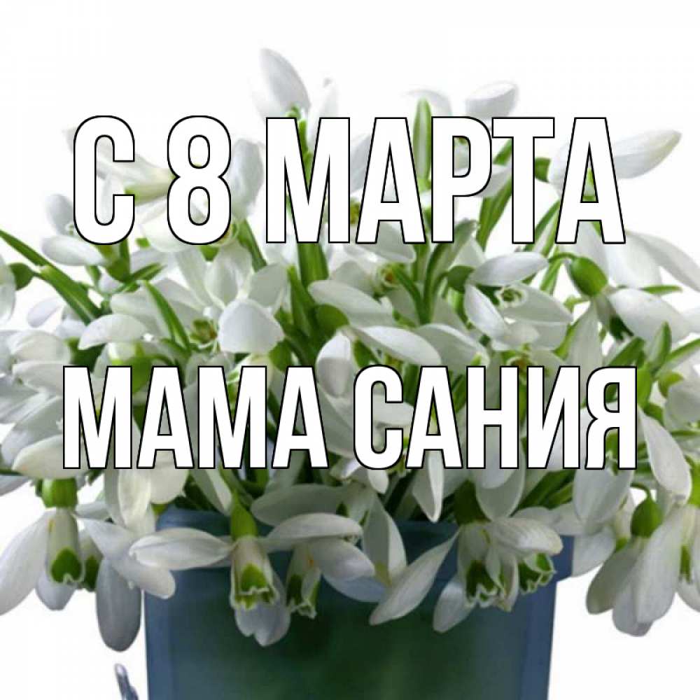 Открытка на каждый день с именем, Мама-Сания С 8 МАРТА цветы к международному женскому дню Прикольная открытка с пожеланием онлайн скачать бесплатно 