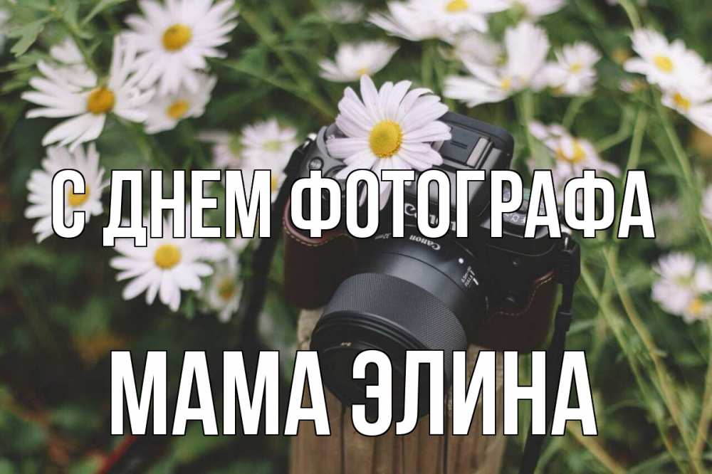 Открытка на каждый день с именем, Мама-Элина С днем фотографа с днем фотографа Прикольная открытка с пожеланием онлайн скачать бесплатно 