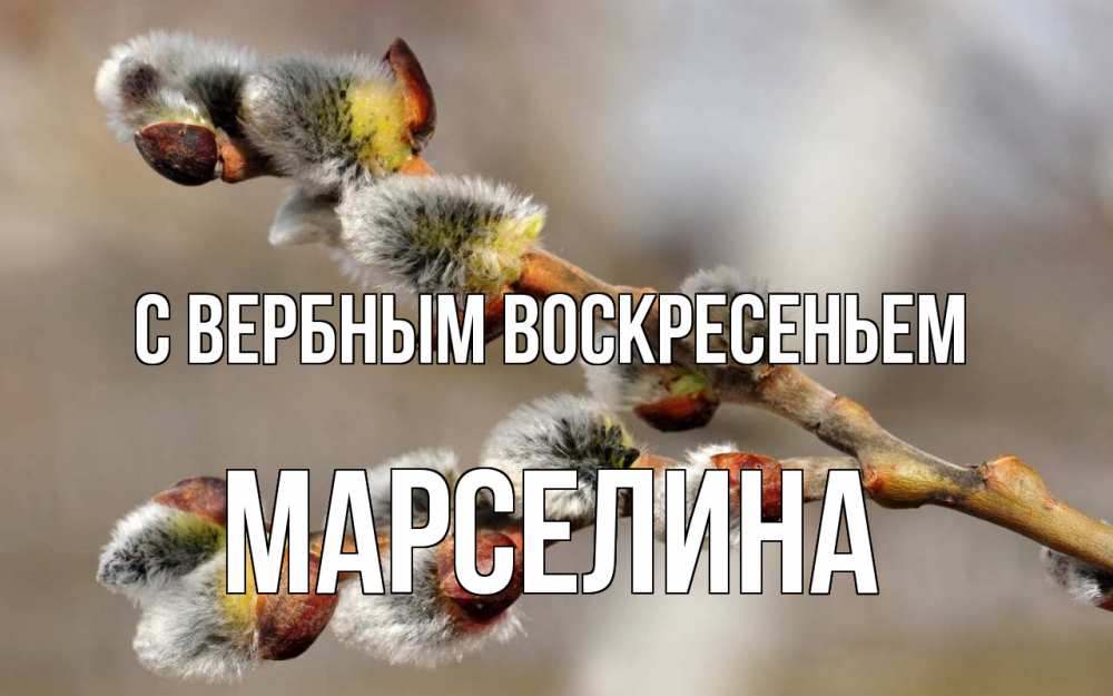 Открытка на каждый день с именем, Марселина С вербным воскресеньем Верба Прикольная открытка с пожеланием онлайн скачать бесплатно 