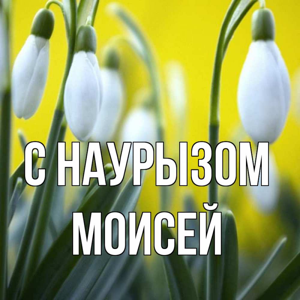 Открытка на каждый день с именем, Моисей С наурызом весенние цветы Прикольная открытка с пожеланием онлайн скачать бесплатно 