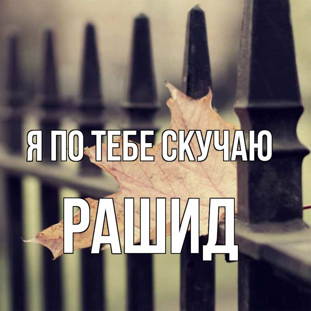Открытка на каждый день с именем, Рашид Я по тебе скучаю очень скучно Прикольная открытка с пожеланием онлайн скачать бесплатно 