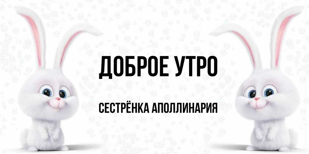 Открытка на каждый день с именем, Сестрёнка-Аполлинария Доброе утро кролики с длинными ушками Прикольная открытка с пожеланием онлайн скачать бесплатно 