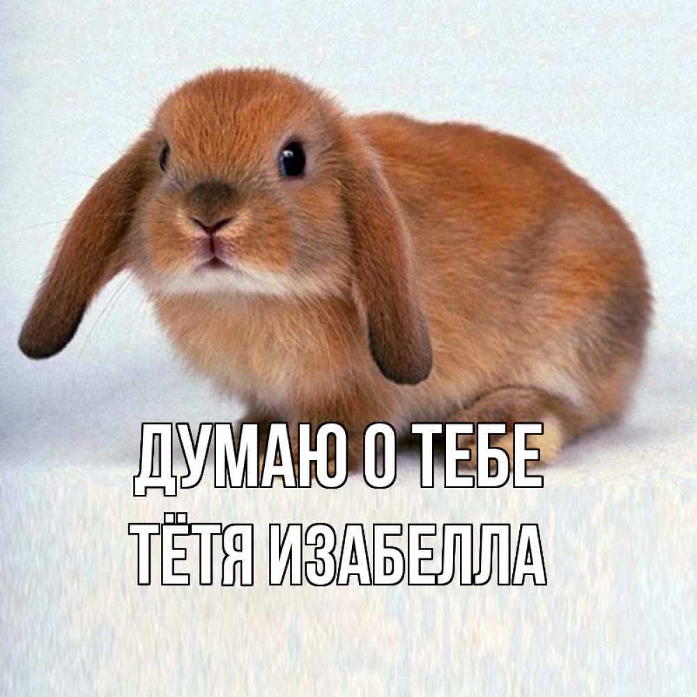 Открытка на каждый день с именем, Тётя-Изабелла Думаю о тебе кроль коричневый Прикольная открытка с пожеланием онлайн скачать бесплатно 