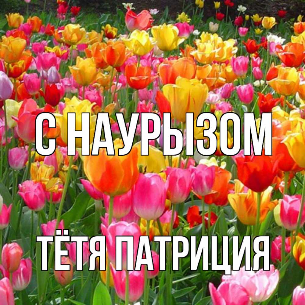 Открытка на каждый день с именем, Тётя-Патриция С наурызом праздник весны наурыз 4 Прикольная открытка с пожеланием онлайн скачать бесплатно 