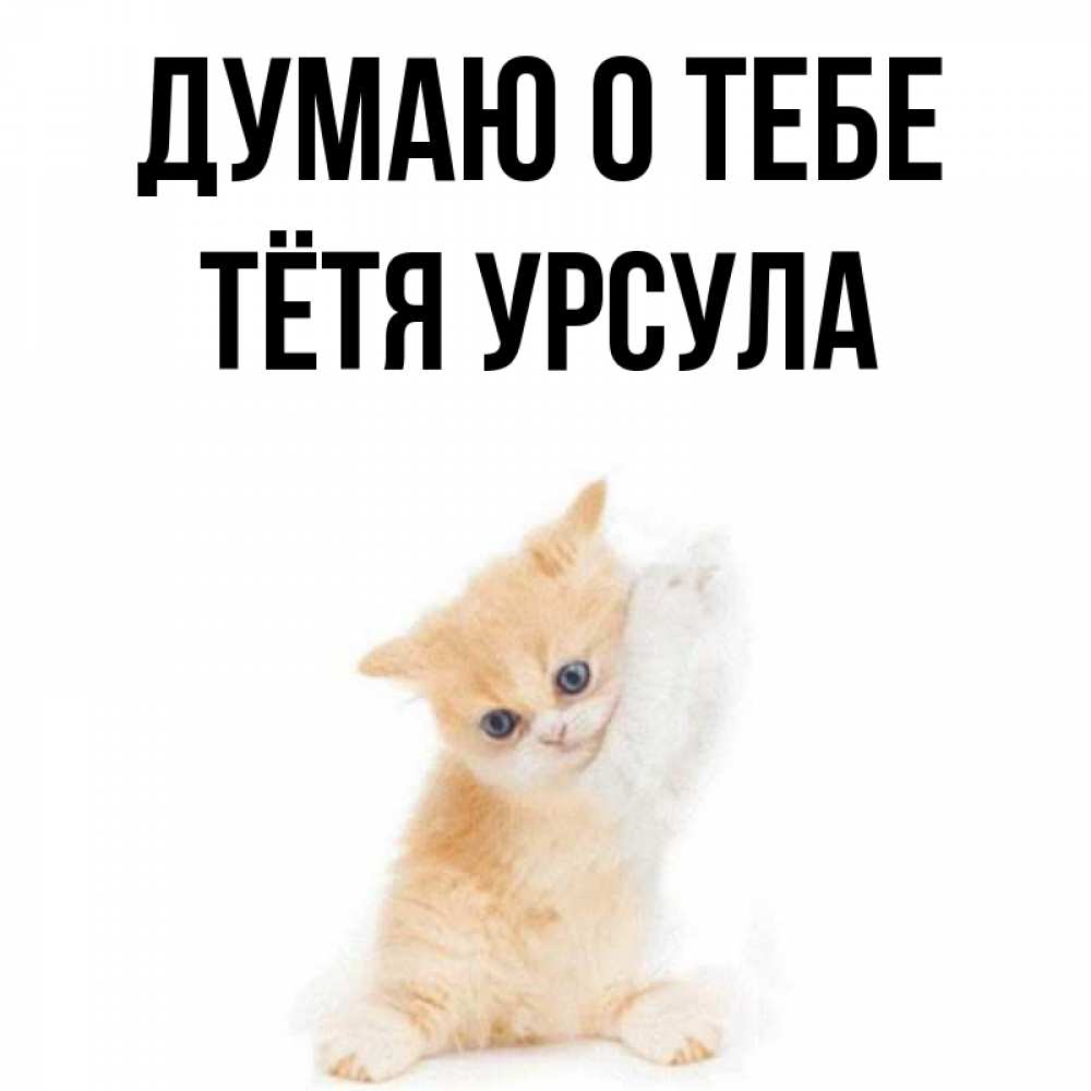 Открытка на каждый день с именем, Тётя-Урсула Думаю о тебе зверушки и милота Прикольная открытка с пожеланием онлайн скачать бесплатно 