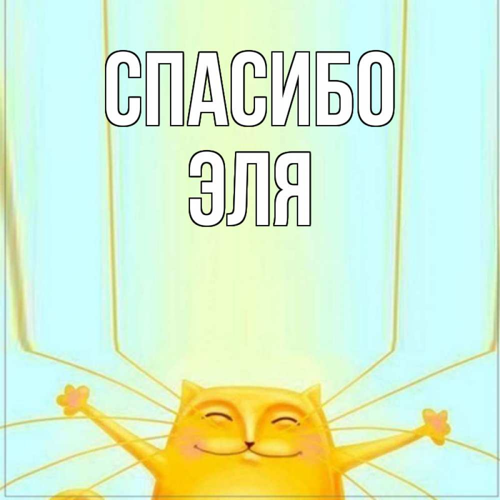 Открытка на каждый день с именем, Эля Спасибо кот с усами благодарит Прикольная открытка с пожеланием онлайн скачать бесплатно 