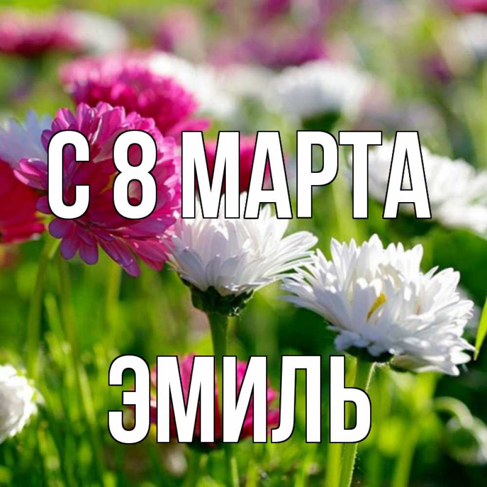 Открытка на каждый день с именем, Эмиль С 8 МАРТА международный женский день 1 Прикольная открытка с пожеланием онлайн скачать бесплатно 