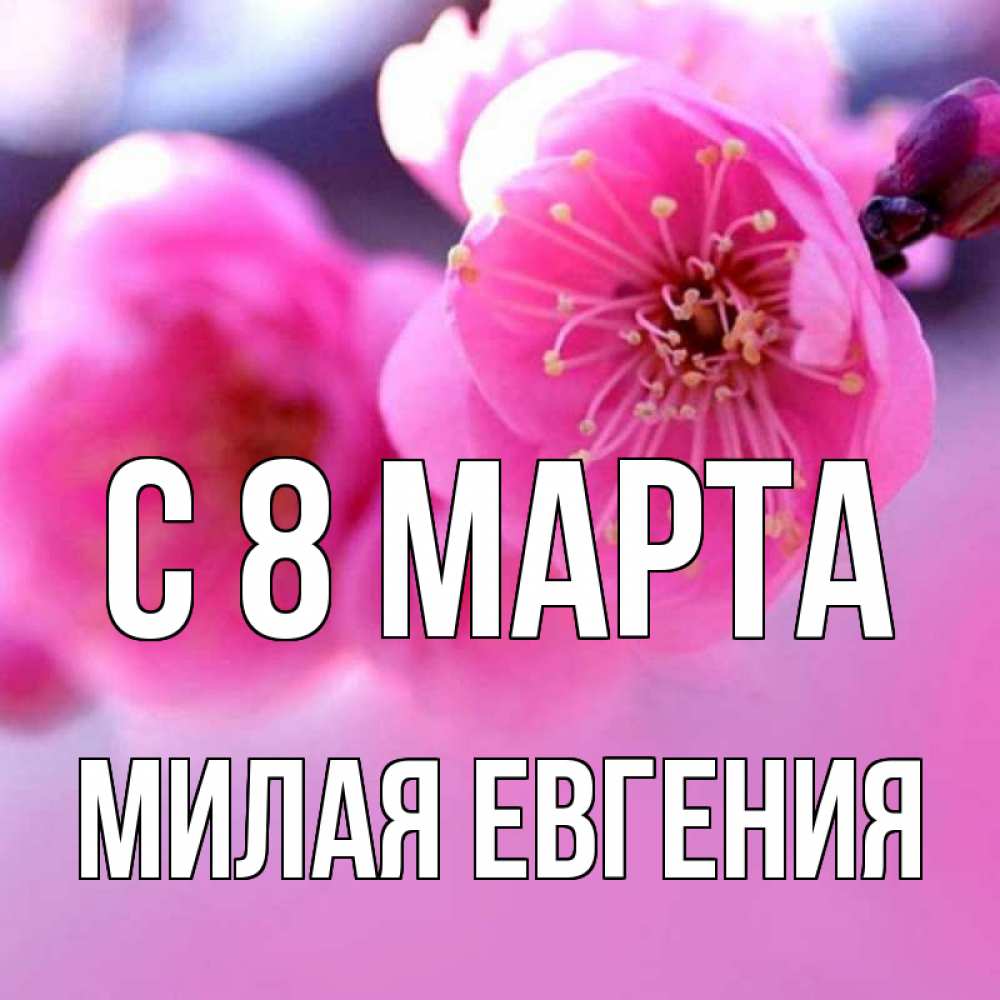 вокруг открытки милой женечке ноября апрель