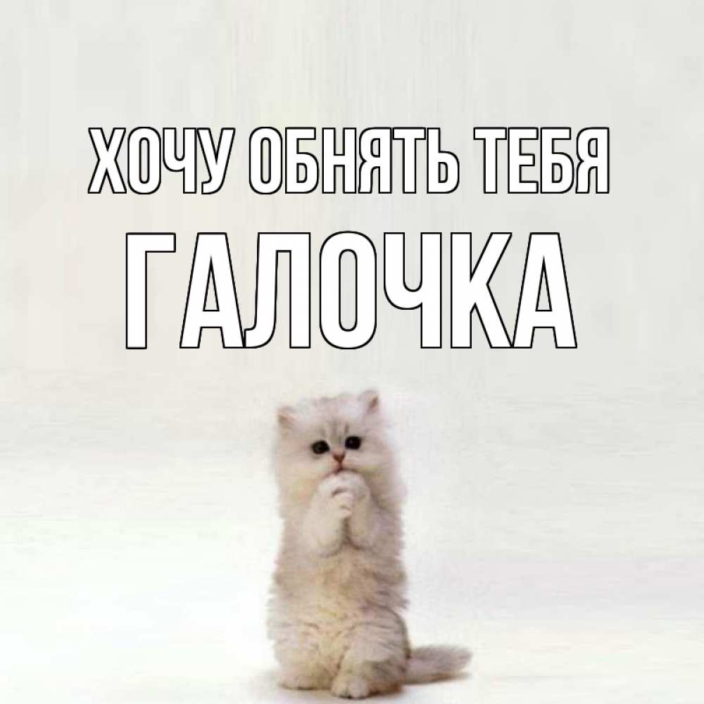 Прикольные картинки хочу к тебе, открытки