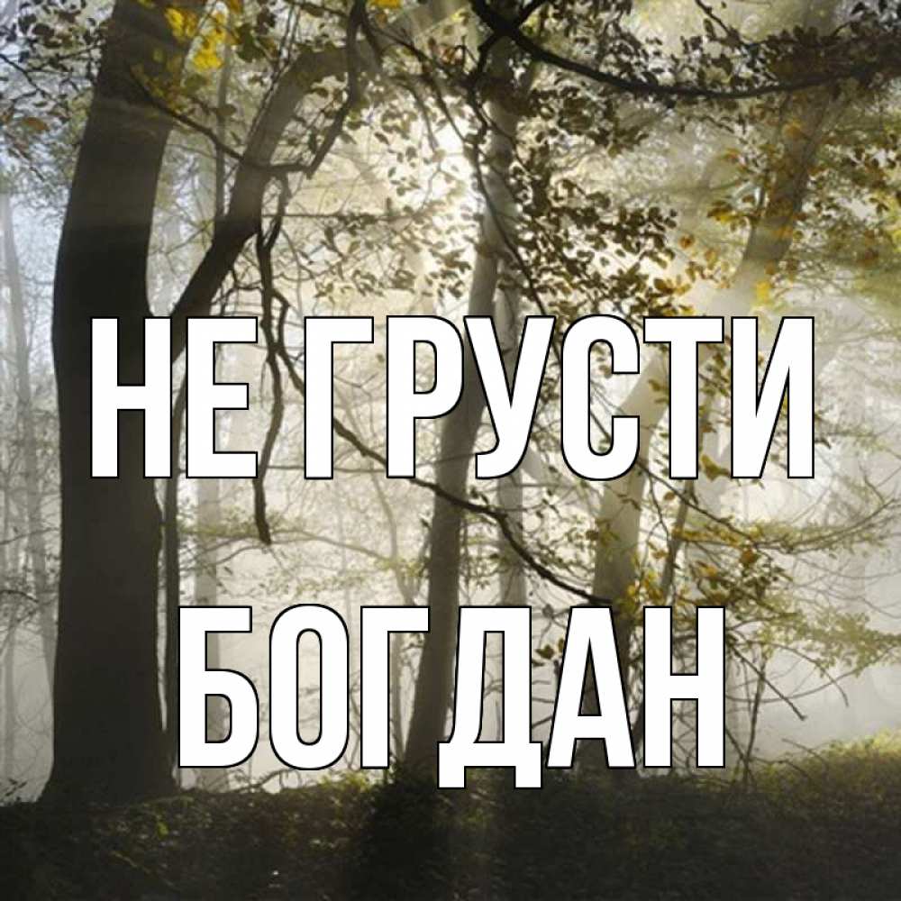 Открытка на каждый день с именем, Богдан Не грусти лес и свет Прикольная открытка с пожеланием онлайн скачать бесплатно 