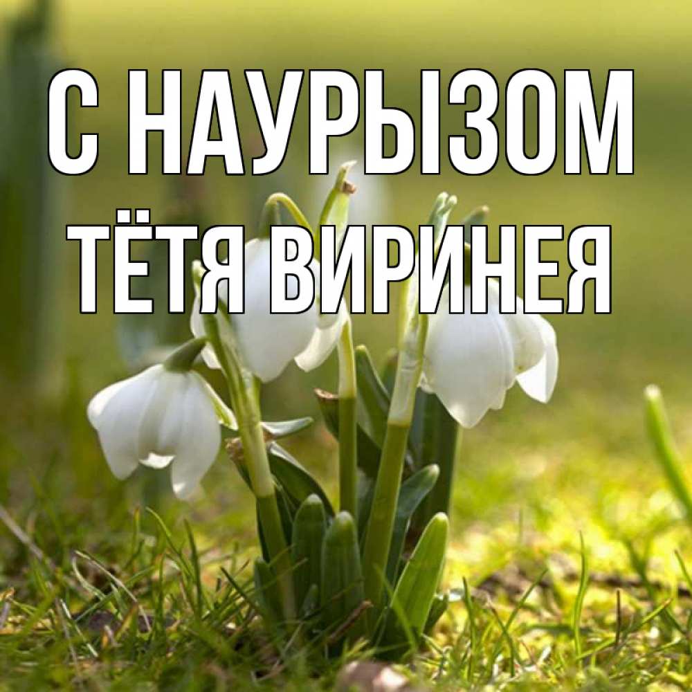 Открытка на каждый день с именем, Тётя-Виринея С наурызом ранние цветы 2 Прикольная открытка с пожеланием онлайн скачать бесплатно 