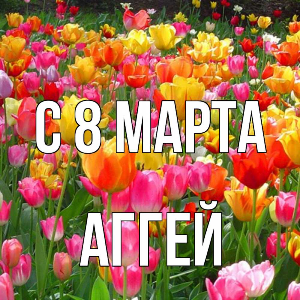 Открытка на каждый день с именем, Аггей С 8 МАРТА на международный женский день Прикольная открытка с пожеланием онлайн скачать бесплатно 