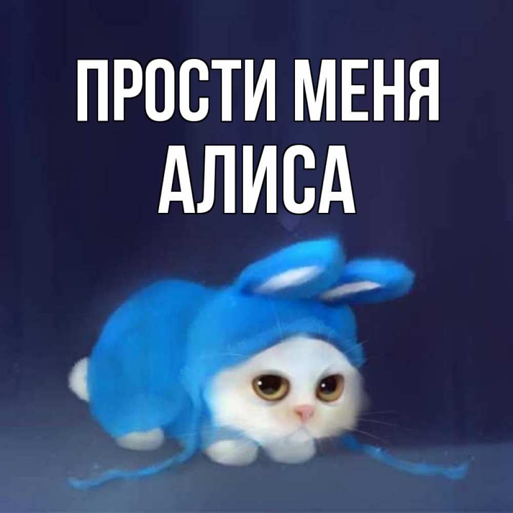 Открытка на каждый день с именем, Алиса Прости меня невинный котозай просит прощения Прикольная открытка с пожеланием онлайн скачать бесплатно 