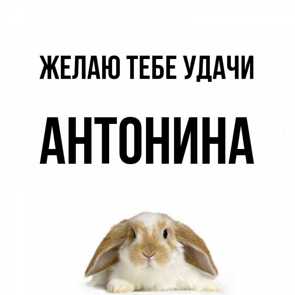 Открытка на каждый день с именем, Антонина Желаю тебе удачи открытки с произвольным текстом который можно вставить в открытку и создать ее самостоятельно бесплатно онлайн Прикольная открытка с пожеланием онлайн скачать бесплатно 