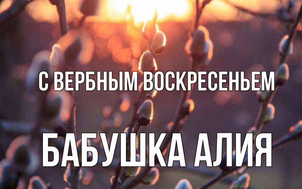 Открытка на каждый день с именем, Бабушка-Алия С вербным воскресеньем верба Прикольная открытка с пожеланием онлайн скачать бесплатно 