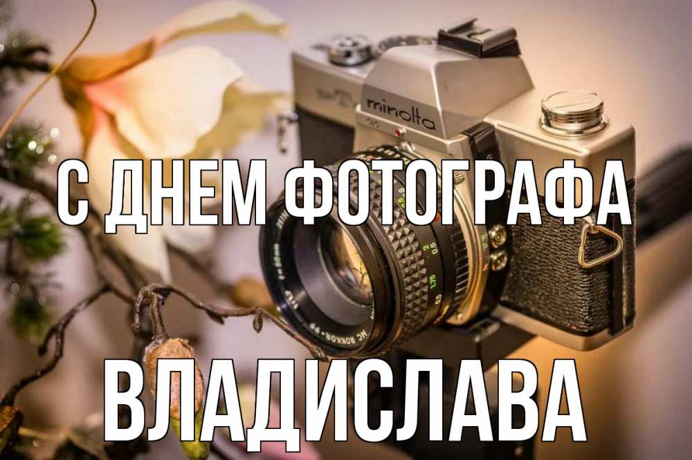 Открытка на каждый день с именем, Владислава С днем фотографа с днем фотографа 1 Прикольная открытка с пожеланием онлайн скачать бесплатно 