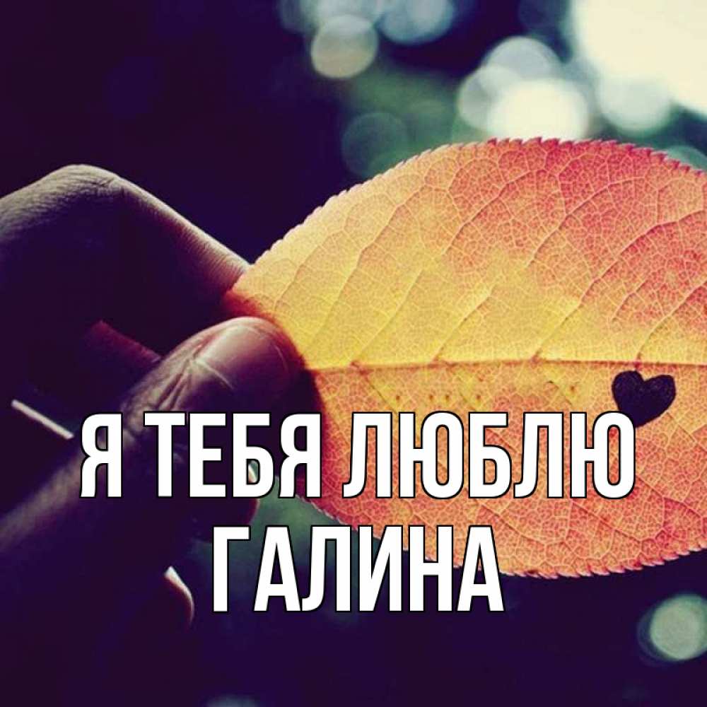 Открытка на каждый день с именем, Галина Я тебя люблю держу лист Прикольная открытка с пожеланием онлайн скачать бесплатно 