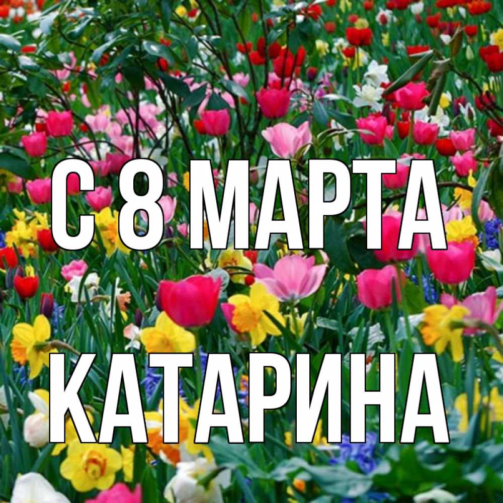 Открытка на каждый день с именем, Катарина С 8 МАРТА с международным женским днем поздравления для женщины Прикольная открытка с пожеланием онлайн скачать бесплатно 