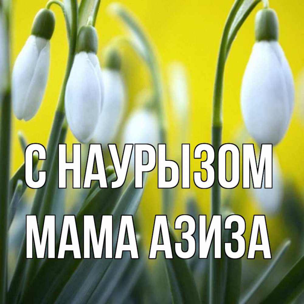Открытка на каждый день с именем, Мама-Азиза С наурызом весенние цветы Прикольная открытка с пожеланием онлайн скачать бесплатно 