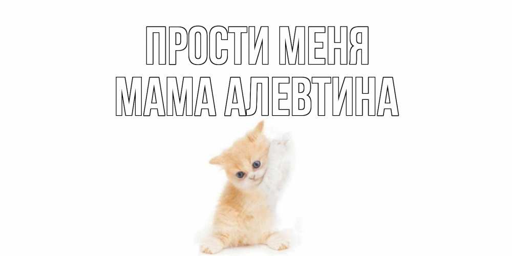 Открытка на каждый день с именем, Мама-Алевтина Прости меня кот Прикольная открытка с пожеланием онлайн скачать бесплатно 