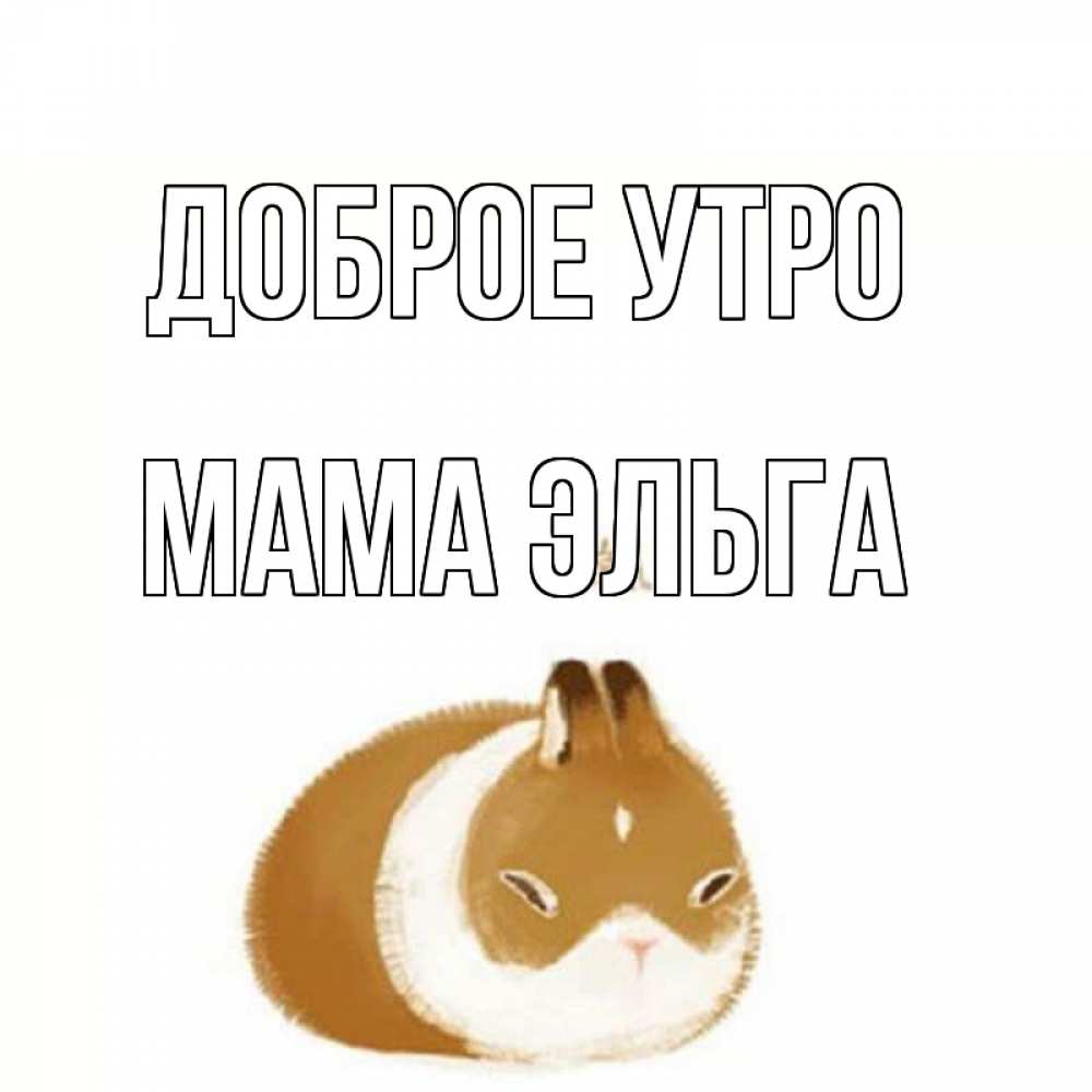 Открытка на каждый день с именем, Мама-Эльга Доброе утро хорошего утречка Прикольная открытка с пожеланием онлайн скачать бесплатно 