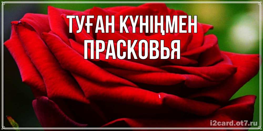 Открытка на каждый день с именем, Прасковья Туған күніңмен розочка очень красивая Прикольная открытка с пожеланием онлайн скачать бесплатно 
