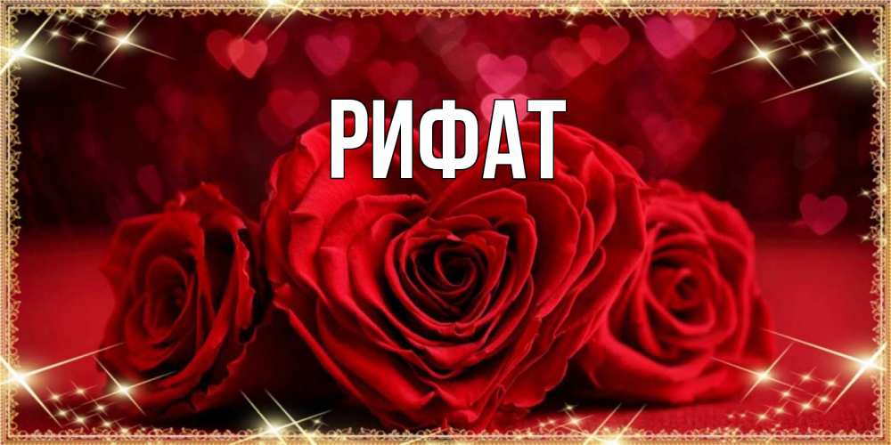 Открытка на каждый день с именем, Рифат Главная три красные розы Прикольная открытка с пожеланием онлайн скачать бесплатно 