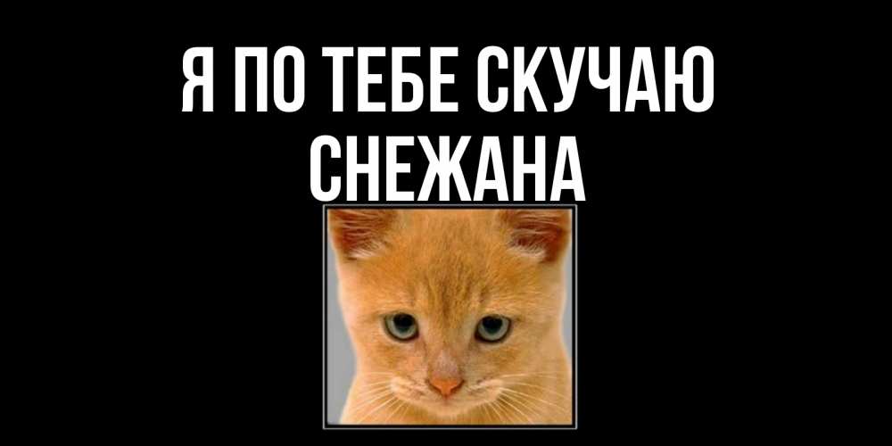 Открытка на каждый день с именем, Снежана Я по тебе скучаю открытки рыжий котенок скучает по тебе Прикольная открытка с пожеланием онлайн скачать бесплатно 